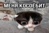Daaaaw2
